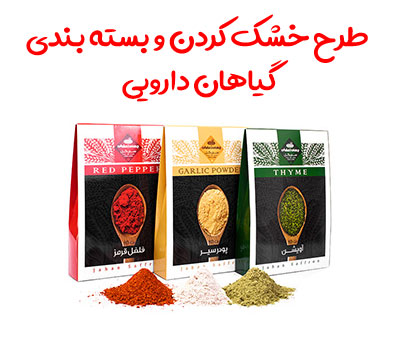 طرح خشک کردن و بسته بندی گیاهان دارویی